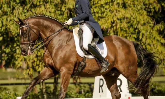 CEPEL – Centro de Preparação Equestre da Lagoa