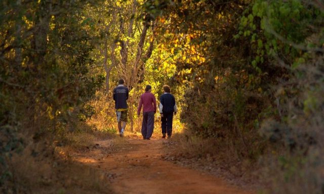 Parque Nacional de Brasília