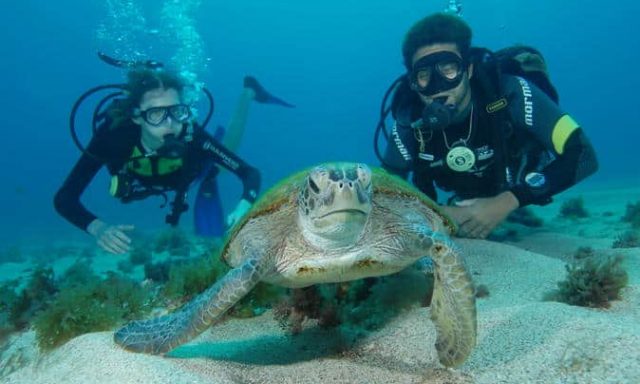 Mergulho em Noronha