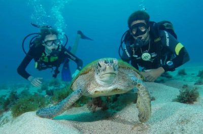 Mergulho em Noronha