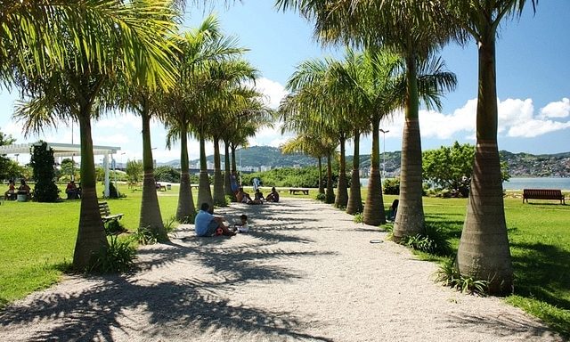 Parque dos Coqueiros